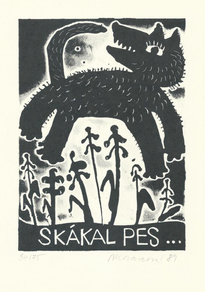 V.Moravcová - Skákal pes